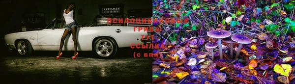 прущая мука Абинск
